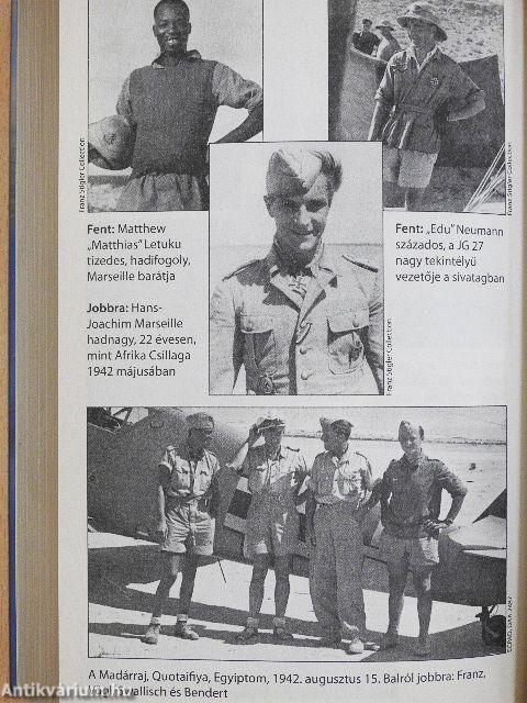 Felettünk a csillagos ég