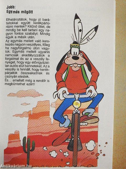 Talányok, fortélyok, tények könyve