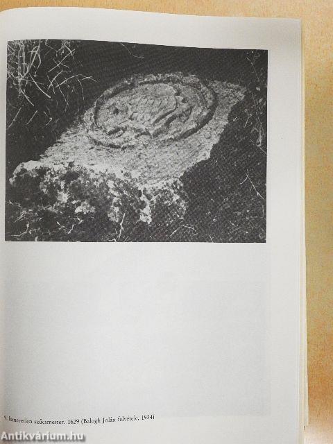 A házsongárdi temető régi sírkövei