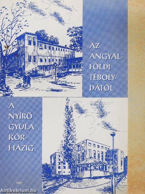 Az Angyalföldi tébolydától a Nyírő Gyula Kórházig