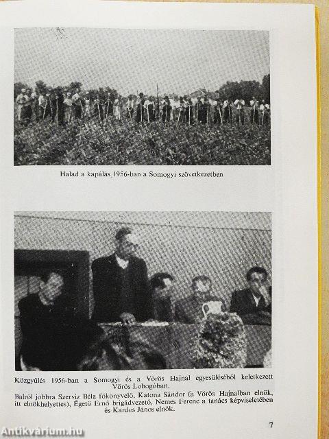 Vásárhelynek szélös határában