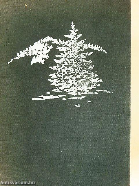 Északnyugati átjáró