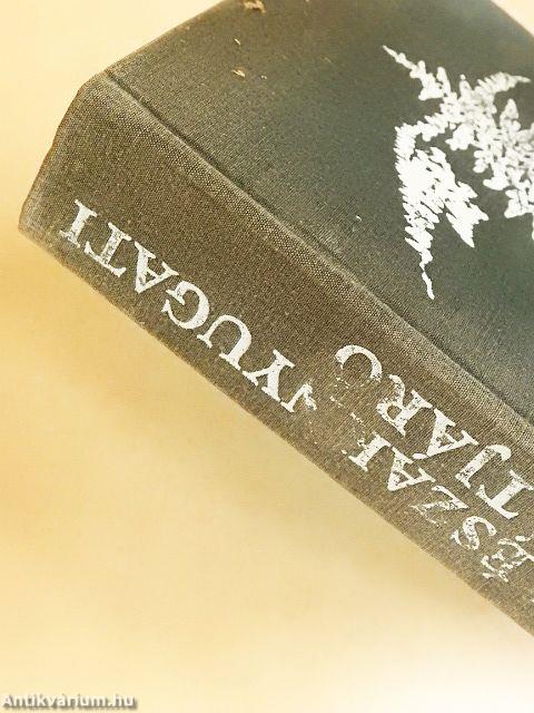 Északnyugati átjáró