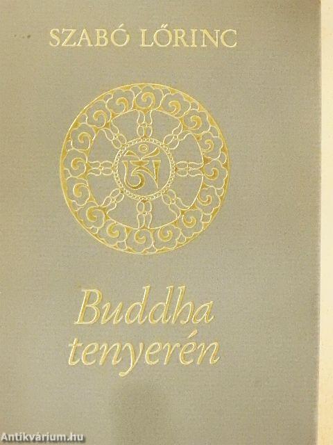 Buddha tenyerén