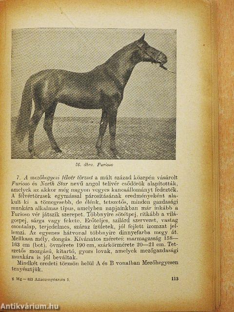 Állattenyésztés 2.