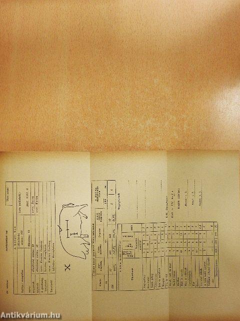 Állattenyésztés 2.