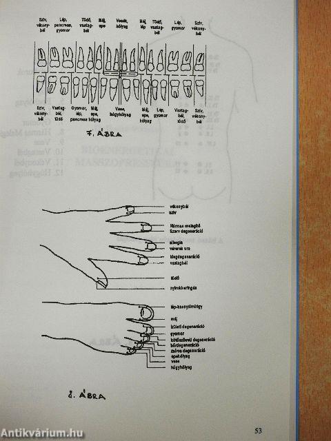 Kínai orvoslás/Masszopresszúra/Urinoterápia/Hidroterápia