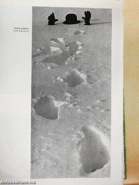 Fotó 1972. január-december