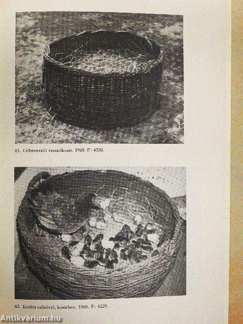 Fejezetek a szanki és móricgáti tanyásgazdálkodás múltjából