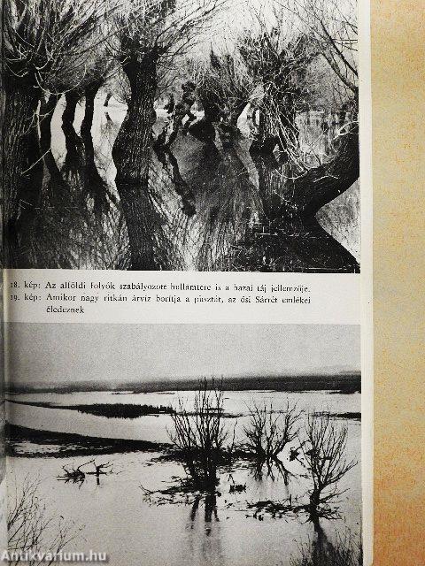 Békés megyei természetvédelmi évkönyv 2.