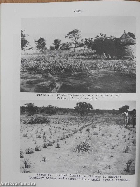 Challenging desertification in West Africa