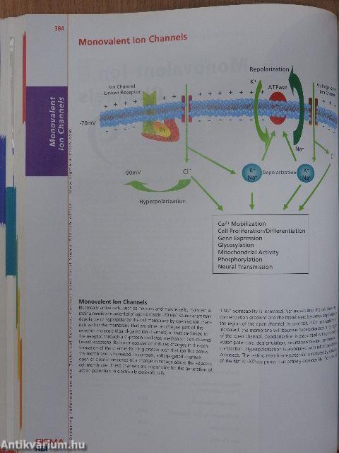 Cell Signaling & Neuroscience 2000/2001