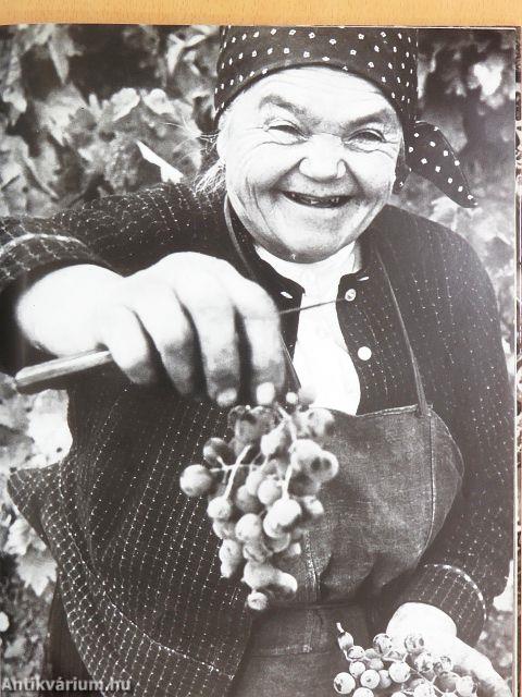 Elindultam világ útján...