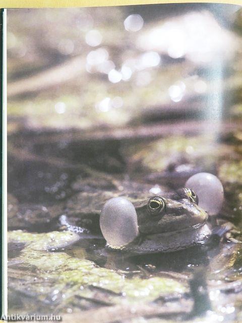 Pannon Enciklopédia - Magyarország állatvilága