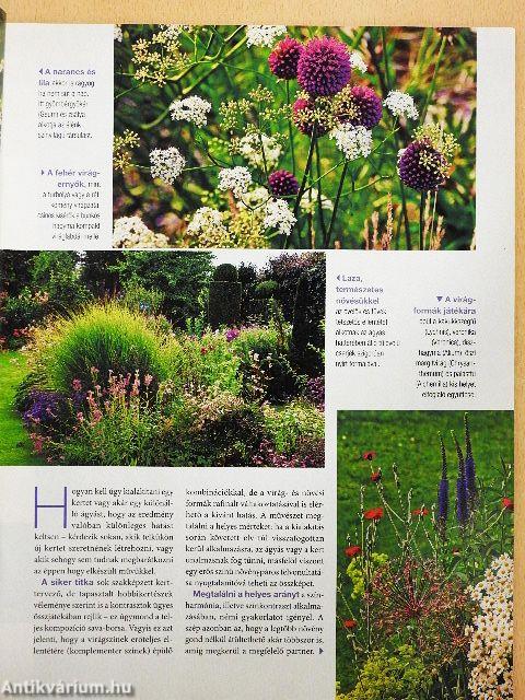 Csodakert 2010. július