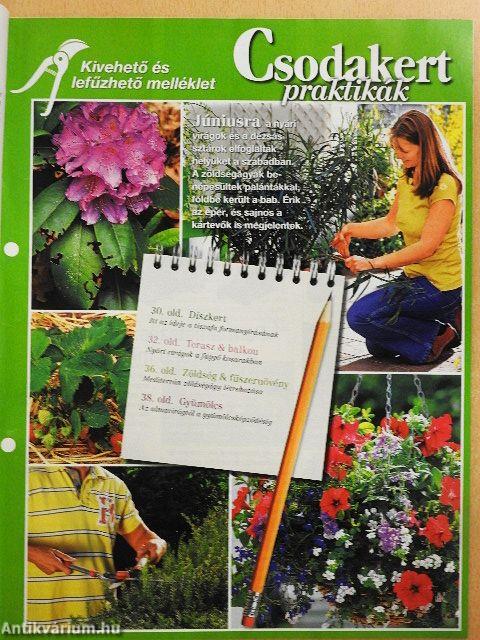 Csodakert 2010. június