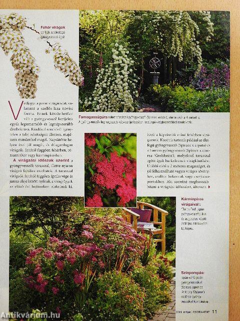 Csodakert 2011. május