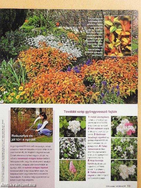 Csodakert 2011. május