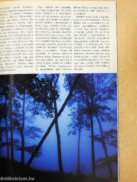 Foto Mozaik 2007. január