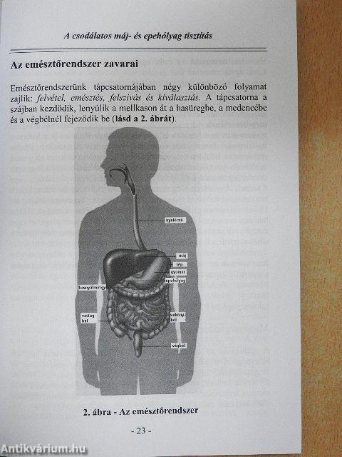 A csodálatos máj- és epehólyag tisztítás