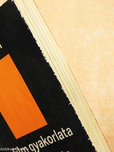 A film gyakorlata és elmélete