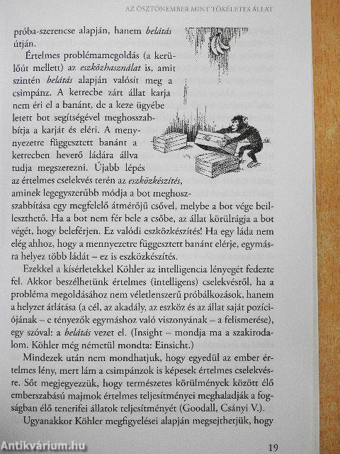 Ádám és Éva változó arcai