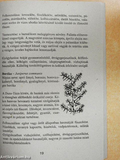 Fűszerkönyv