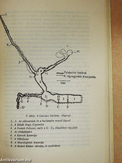Őskori barlangművészet