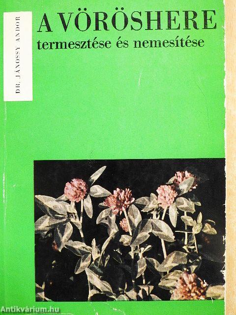 A vöröshere termesztése és nemesítése