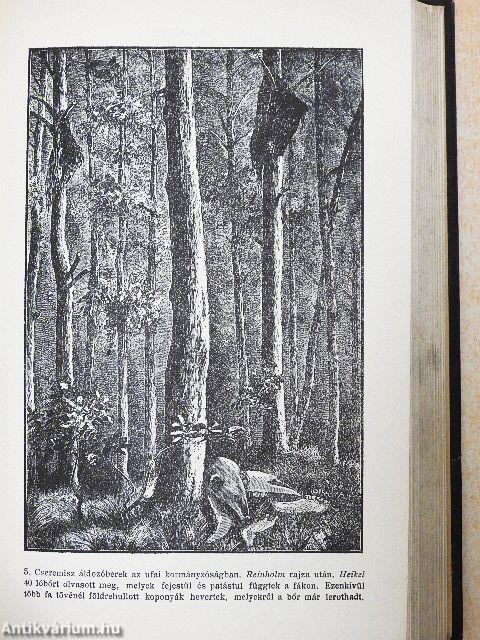 A finnugor népek pogány istentisztelete