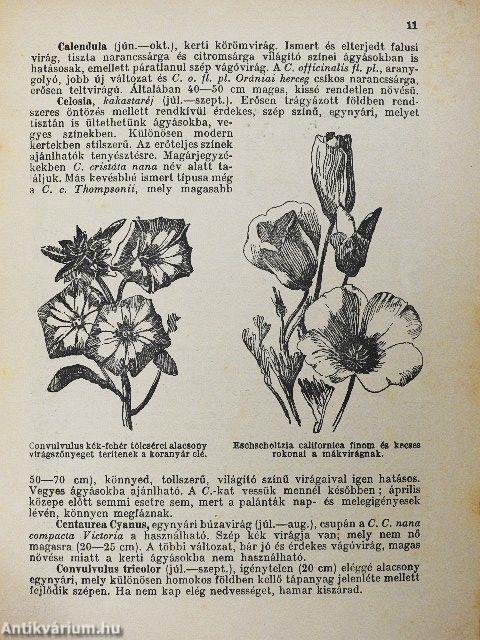 Hogyan készítsük el virágos kertünket