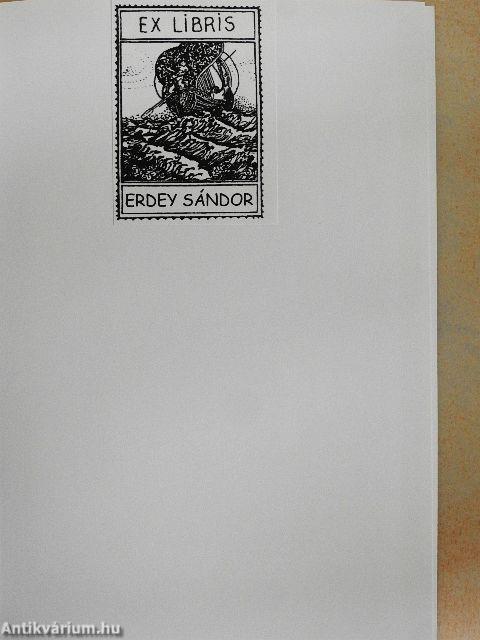 Afrikai tábortüzek