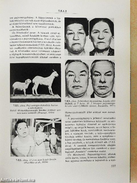 Orvosi élettan I-II.