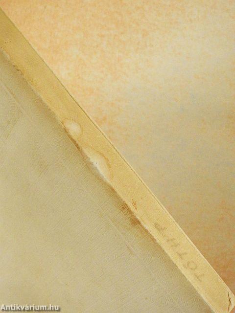 A magyar értelmiség két világháború közötti történetéhez I. (töredék)