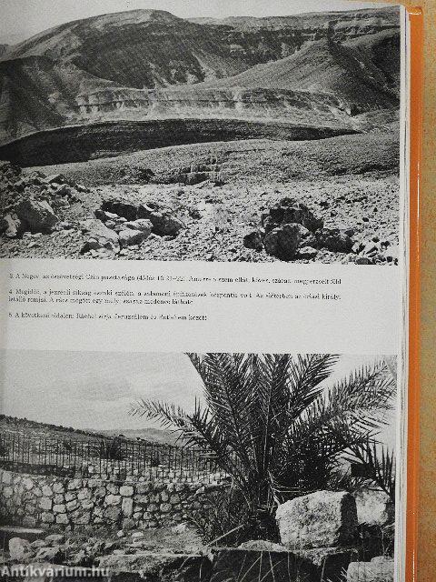 Próféták és királyok