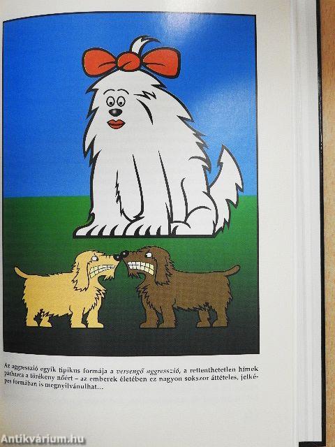 Az agy évtizedében