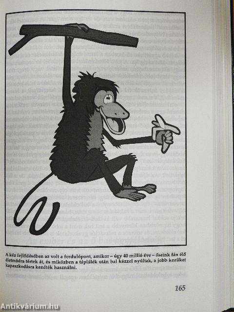 Az agy évtizedében