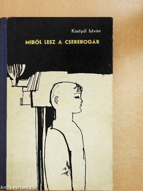 Miből lesz a cserebogár