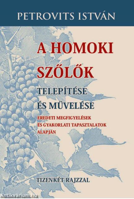 A homoki szőlők telepítése és művelése