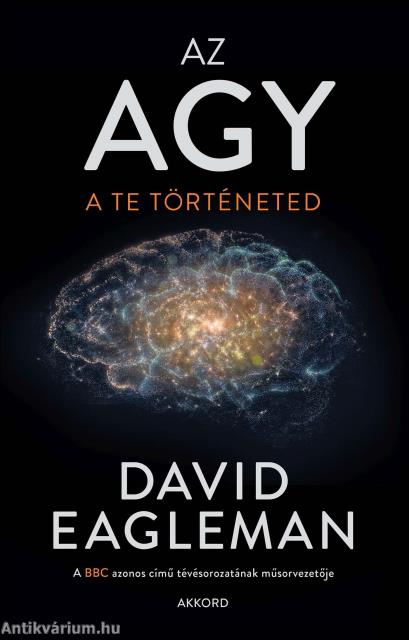 Az agy - A te történeted