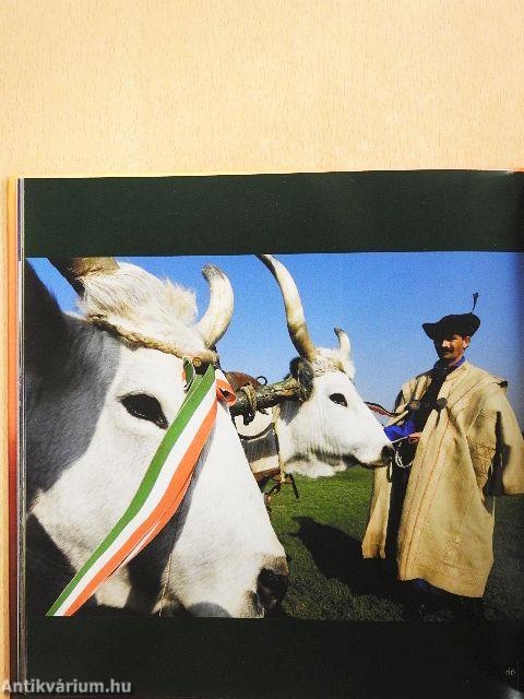 Megmaradásunk jelképe a magyar szürke