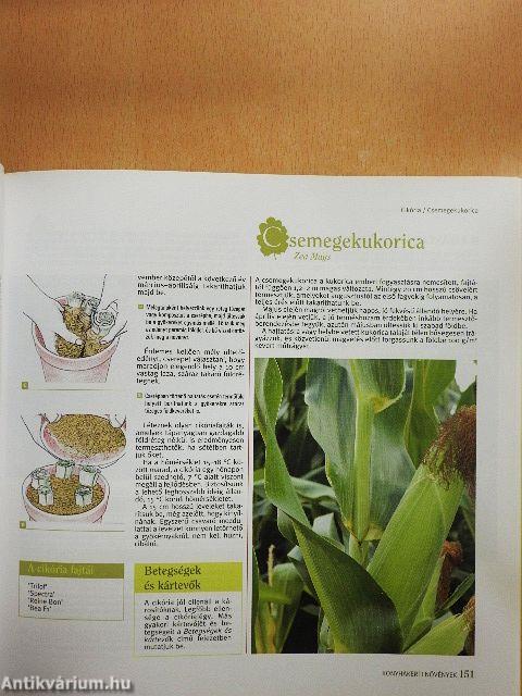 A kertészkedés nagykönyve