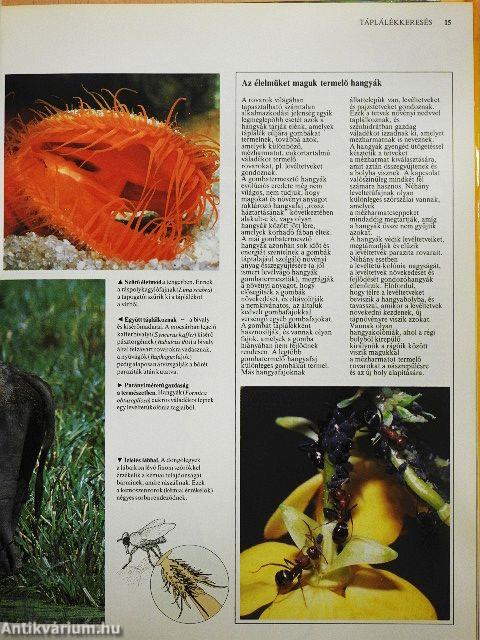 Az állatok viselkedése