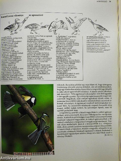 Az állatok viselkedése