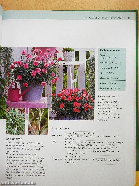 Mi a baj a növényemmel?