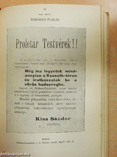 Tanácsköztársaság Csongrád megyében