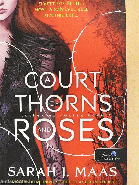 Tüskék és rózsák udvara