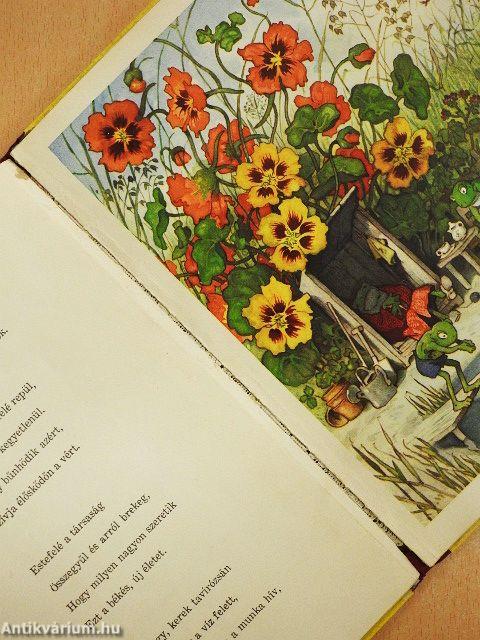 Tüskés, a kertész