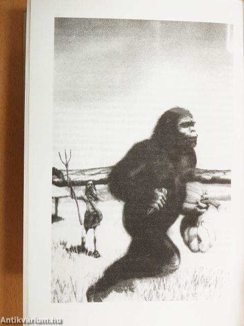 Az emberi faj rejtélyes eredete