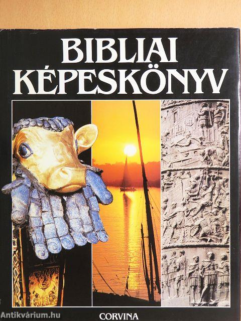 Bibliai képeskönyv